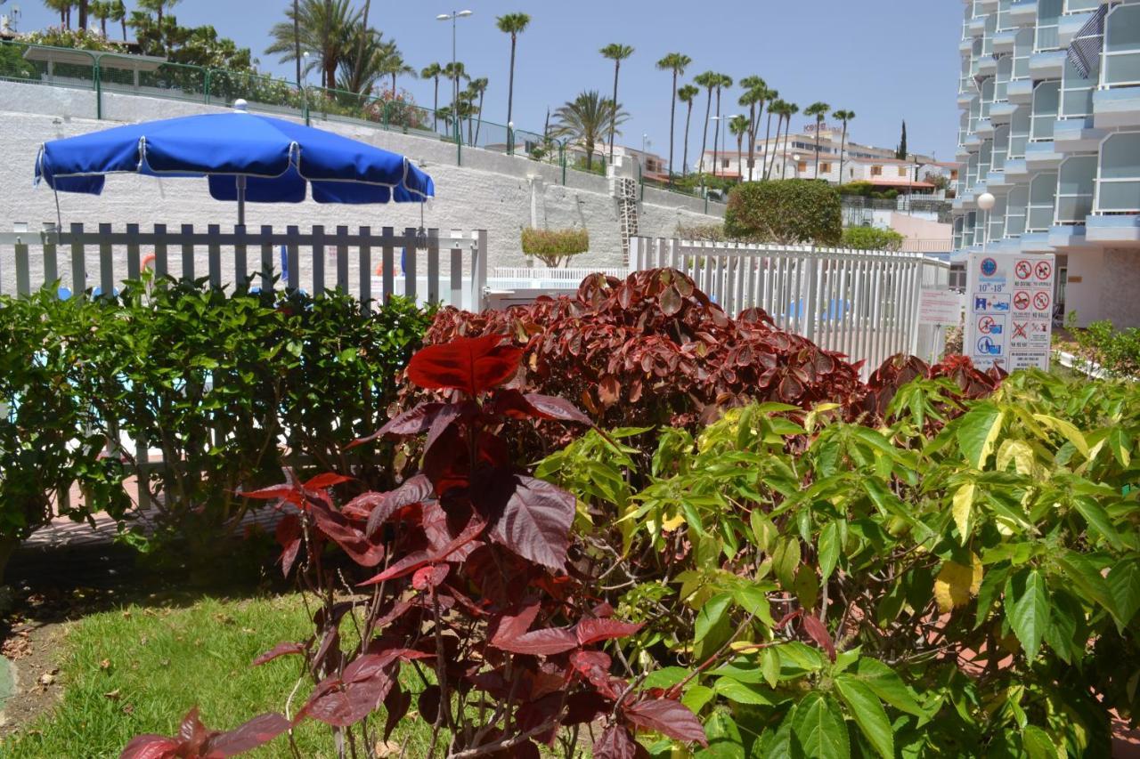 Red Loft Deluxe - Vivienda Vacacional A Playa Del Ingles Lägenhet Exteriör bild